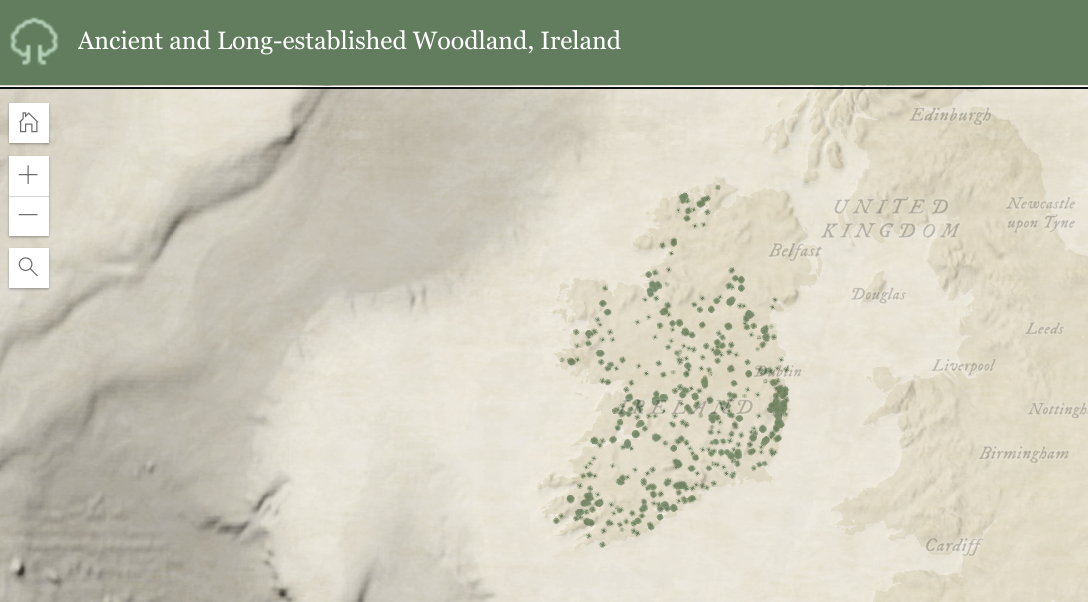 National Tree Week woodlands Ireland - techbuzzireland