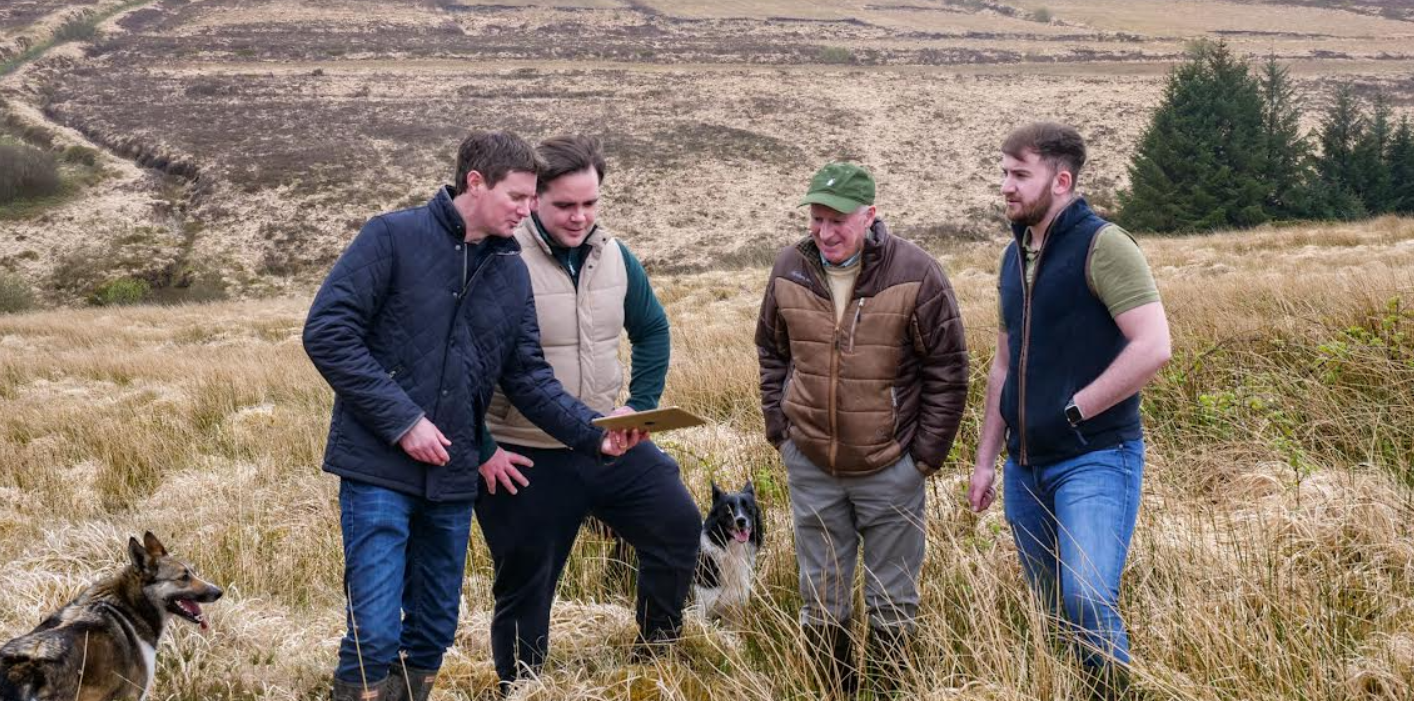 ConnectGreen launches new Biodiversity Credits and Carbon Offsetting Platform harnessing power of AI - techbuzzireland.com