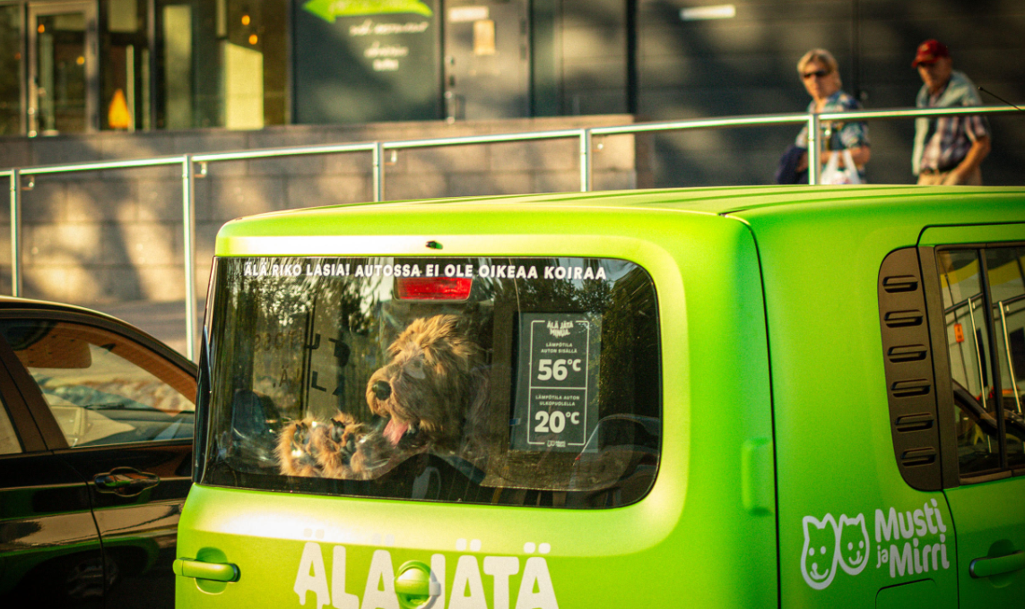 robot dog hot car heat symptoms