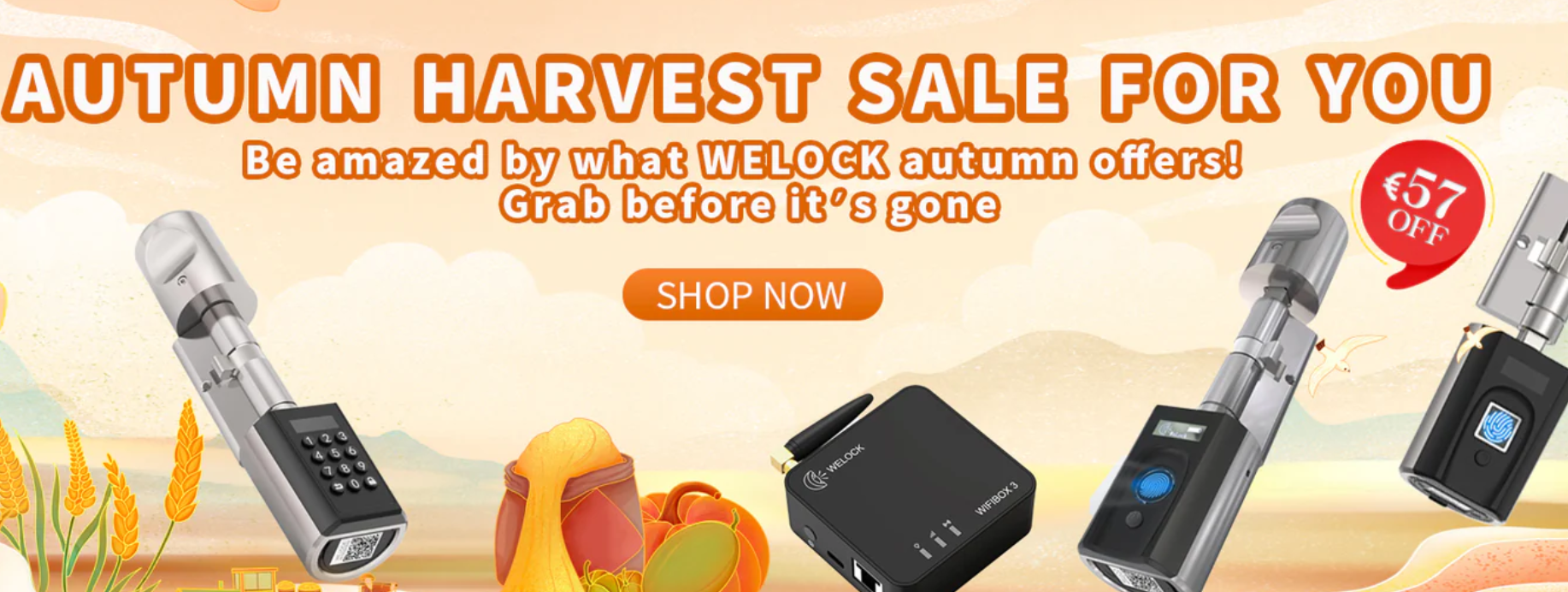 Keep your home safe with WELOCK and their home security sale