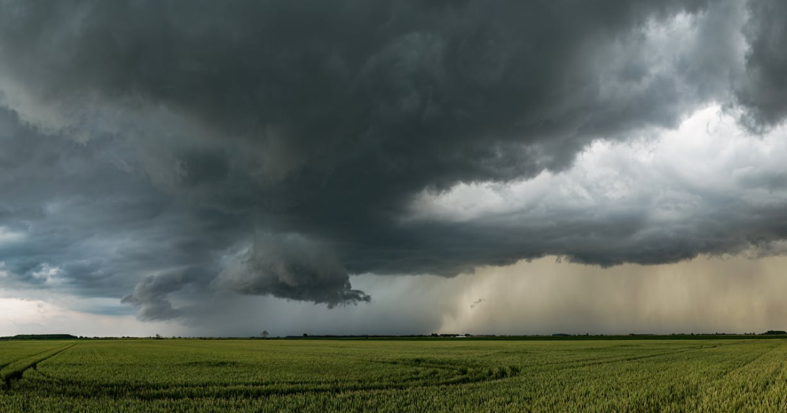 eir Storm Éowyn National Update 31.01.25 - techbuzzireland