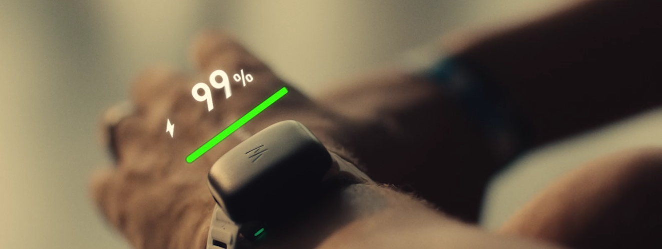 WHOOP Reveals Insights on Sex, Gratitude & Recovery This Valentine’s Day