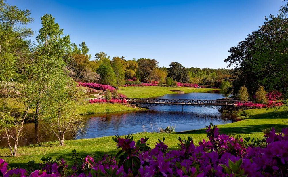 Types Of Modern Technology Used In Landscaping