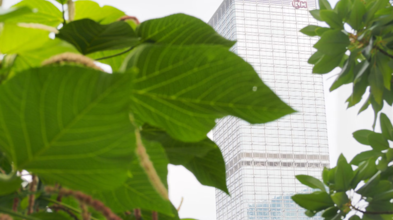 5 Green Initiatives Every Business Should Implement