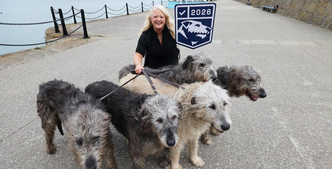 Cyber attacks hit fifth of firms as 'online NCT' launched - techbuzzireland